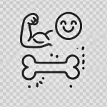 Huesos y Músculos fuertes